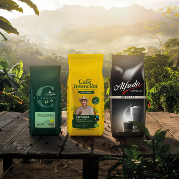 Tři sáčky kávy - Café Intención, Classics Verde a Alfredo - na pozadí svěžího tropického prostředí s prvotřídním espressem.