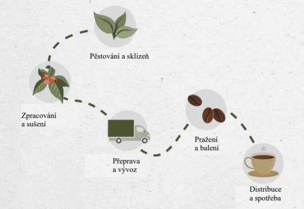 Schéma procesu výroby kávy se zvýrazněním fází pěstování, zpracování, přepravy, pražení a distribuce.