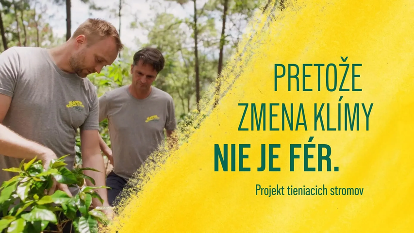Dvaja muži pracujú spoločne v bujnom lese, pričom zdôrazňujú udržateľné pestovanie kávy a informovanosť o zmene klímy.