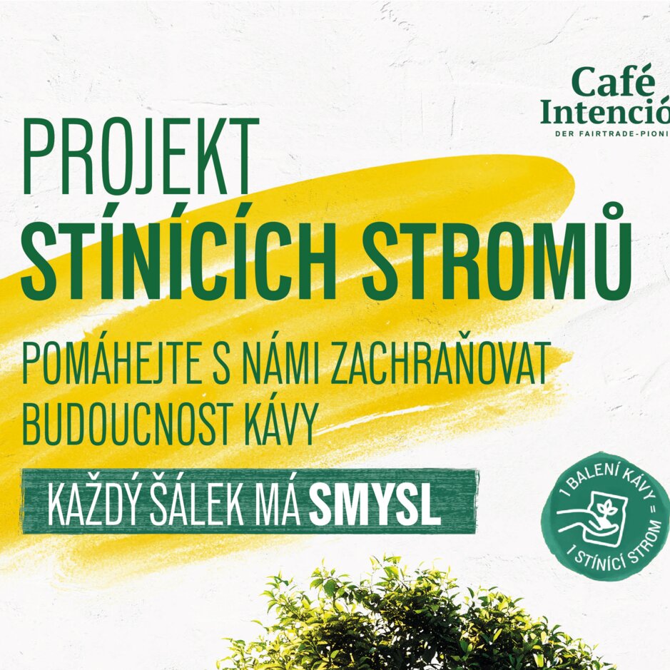 Café Intención propaguje udržitelnou kávu pomocí zeleného projektu s kávovými sáčky a ilustrací stromu.