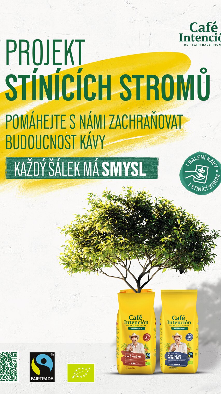 Café Intención propaguje udržitelnou kávu pomocí zeleného projektu s kávovými sáčky a ilustrací stromu.