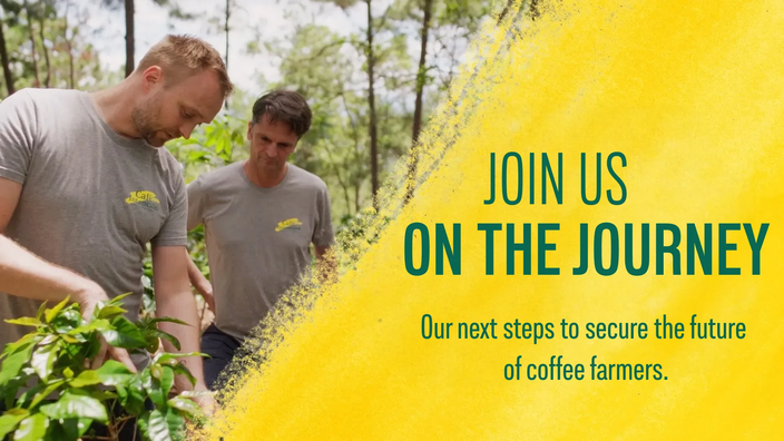 Coffee farmers working together to secure a sustainable future in lush green fields. Join the journey for positive impact!