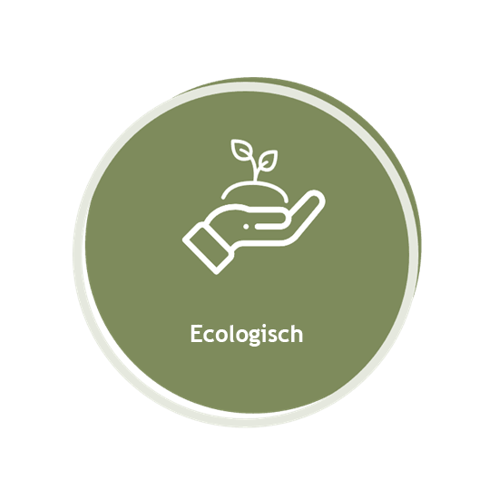 Grafiek die ecologische duurzaamheid voorstelt met een hand die een plant verzorgt. Ideaal voor groene initiatieven en milieuvriendelijke onderwerpen.