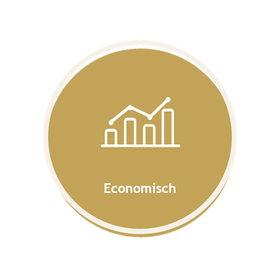 Stijlvol icoon dat economische groei voorstelt met staafdiagrammen en het label "Economisch" in een cirkelvormig ontwerp.