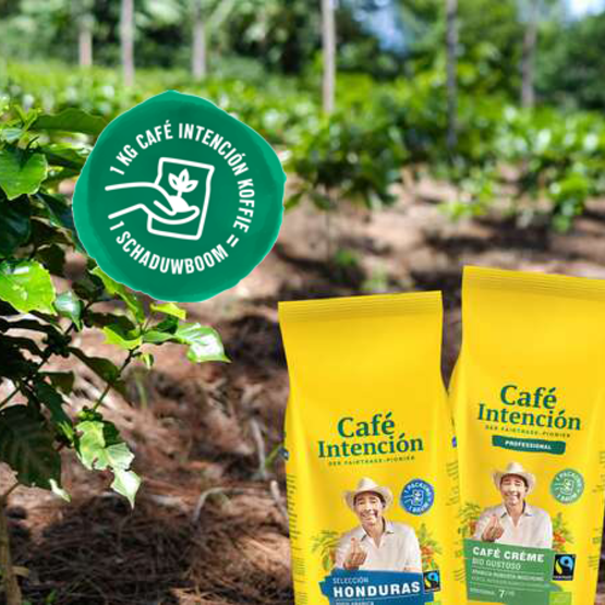 Koffieplanten gedijen in de schaduw op een duurzame boerderij, waar de producten en milieuvriendelijke praktijken van Café Intención worden getoond.