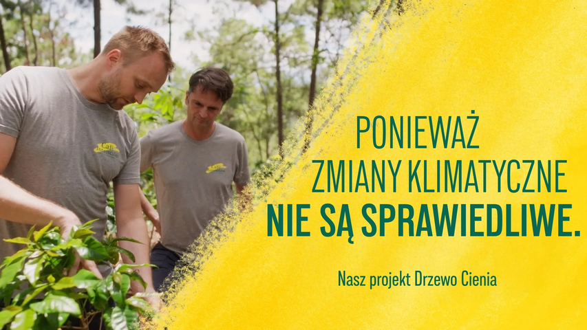 Mężczyźni pielęgnujący rośliny w zielonym otoczeniu, promujący projekt Drzewo Cienia przeciwko zmianom klimatu.