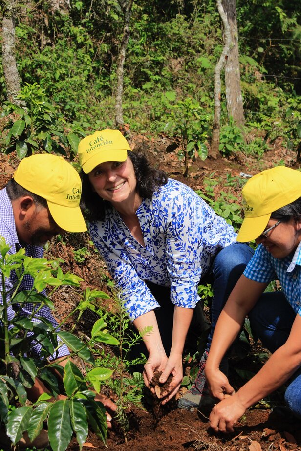 Wolontariusze sadzą drzewa w bujnej zieleni, promując zrównoważoną uprawę kawy i ochronę środowiska.