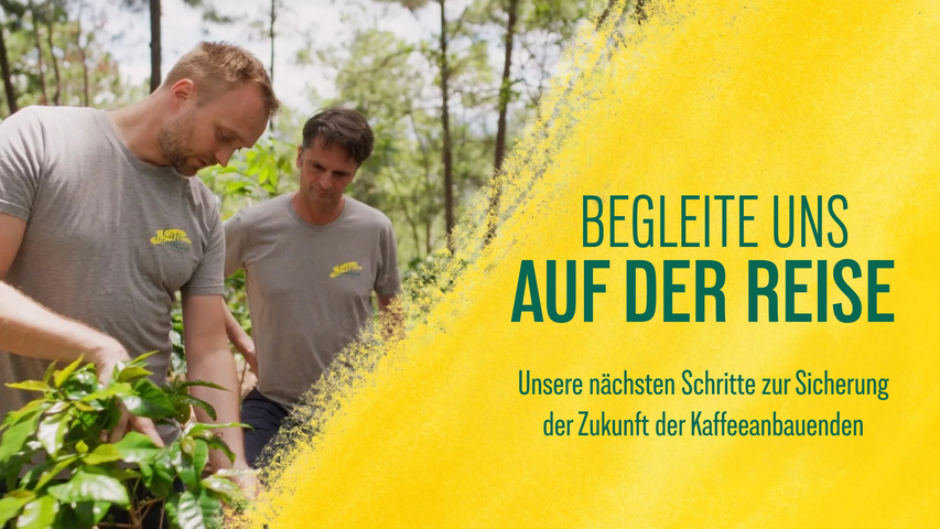 Zwei Männer in grauen Hemden arbeiten gemeinsam in einer Kaffeeplantage und unterstützen Initiativen für nachhaltige Landwirtschaft.