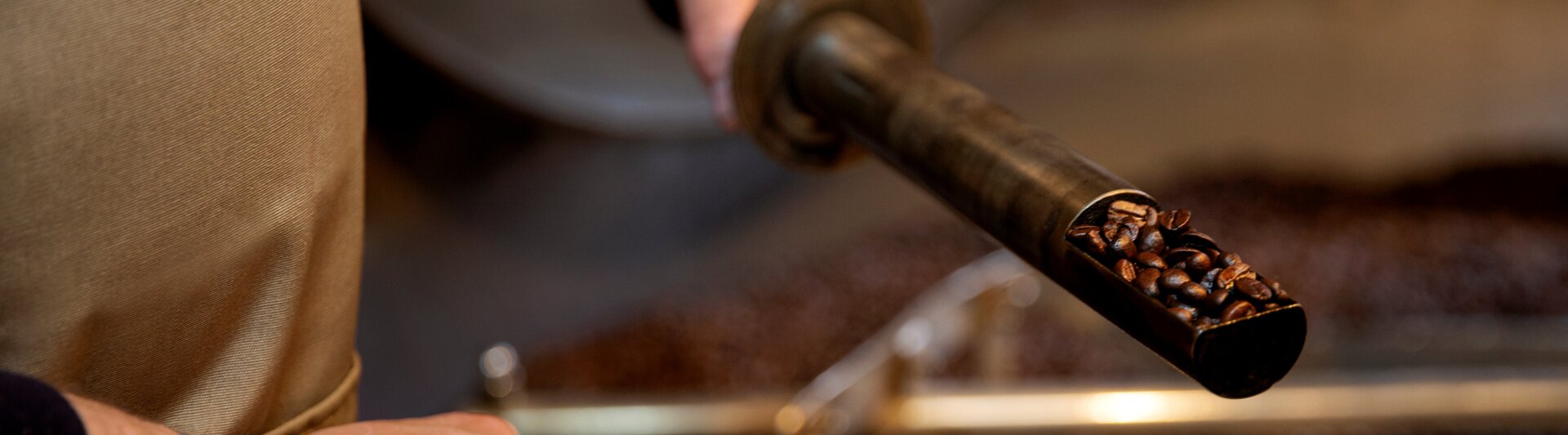 Barista próbkujący świeżo palone ziarna kawy za pomocą sondy w palarni. Zbliżenie na obróbkę aromatycznej kawy.
