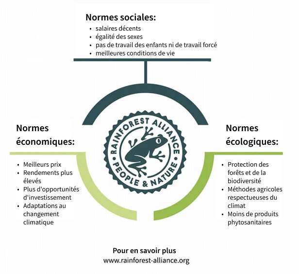 Normes de Rainforest Alliance promouvant la durabilité sociale, économique et écologique pour les personnes et la nature.