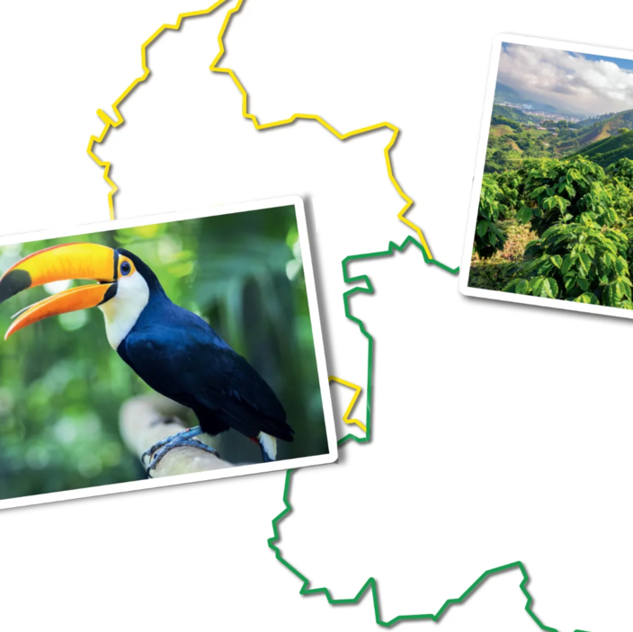 Toucan and coffee farm overlaid on a map of Colombia, showcasing the region's rich biodiversity and coffee heritage.