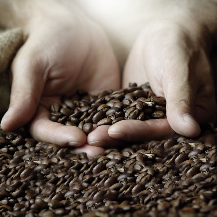 Vers geoogste koffiebonen die in de hand worden gehouden en hun rijke kleur en textuur laten zien. Perfect voor koffieliefhebbers.
