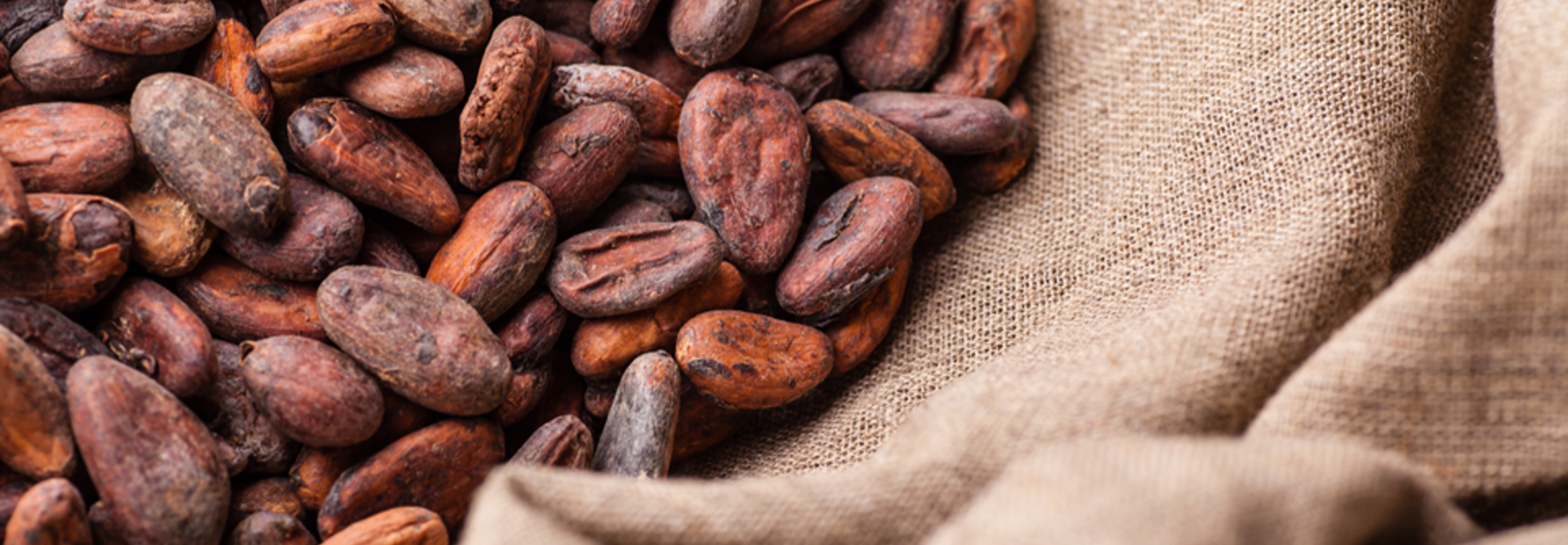 Kakaové bôby roztrúsené na textúrovanom látkovom pozadí, ktoré zvýrazňuje ich bohaté farby a prírodný pôvab.