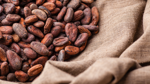 Ziarna kakaowca rozsypane na teksturowanym tle tkaniny, podkreślające ich bogate kolory i naturalny wygląd.