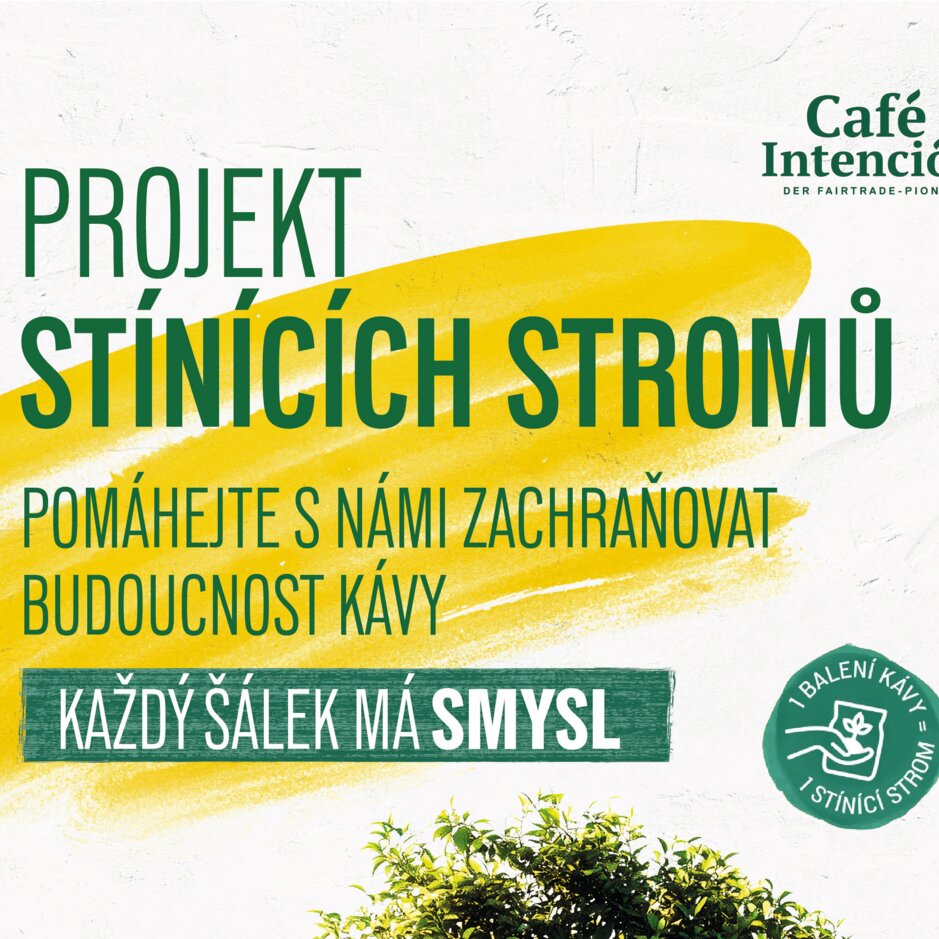 Café Intención propaguje trvalo udržateľnú kávu prostredníctvom zeleného projektu s vreckami na kávu a ilustráciou stromu.