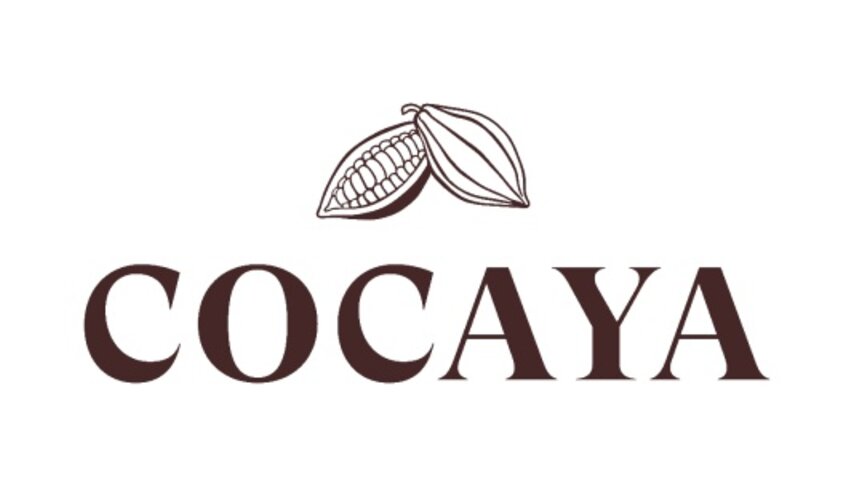 Elegantní logo Cocaya s ilustracemi kakaových lusků, které představují prémiové čokoládové výrobky a udržitelnost.