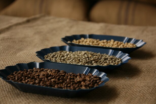 Trzy tace z różnymi ziarnami kawy - palonymi, zielonymi i nieprzetworzonymi - wyeksponowane na tkaninie jutowej, podkreślające różnorodność kawy.