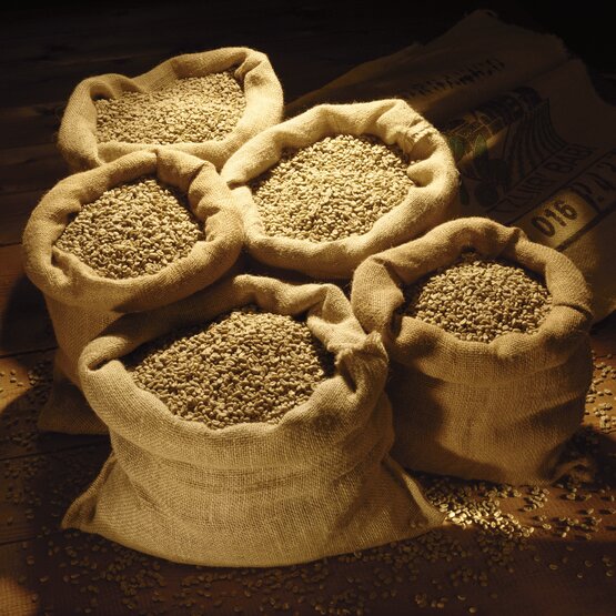 Mit rohen Kaffeebohnen gefüllte Säcke, die auf einer Holzfläche angeordnet sind und von einer dramatischen Beleuchtung unterstrichen werden. Ideal für Kaffee-Liebhaber.