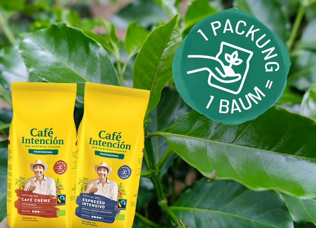 Die Fair-Trade-Kaffee-Pakete von Café Intención fördern die Nachhaltigkeit, indem sie pro Kauf einen Baum unter den Kaffeeblättern pflanzen.