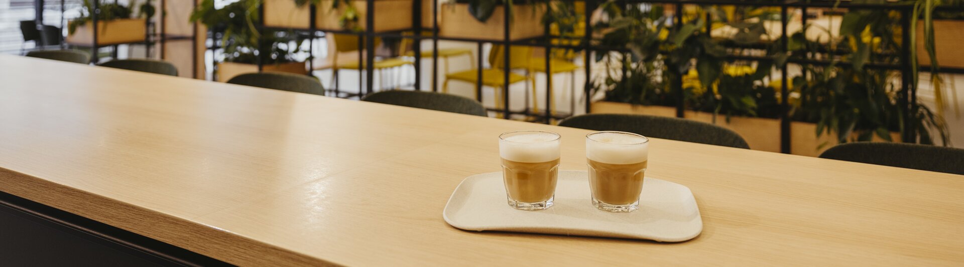 Lattes op een houten tafel in een modern café met veel groen en een heldere inrichting, perfect voor een stijlvolle koffiepauze.