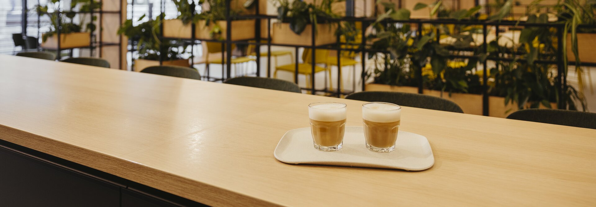 Lattes op een houten tafel in een modern café met veel groen en een heldere inrichting, perfect voor een stijlvolle koffiepauze.