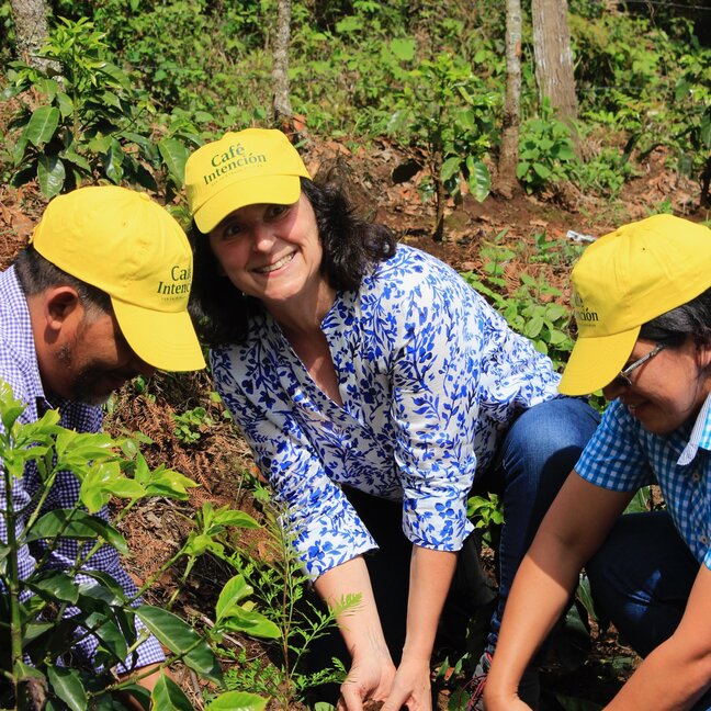 Les participants plantent des caféiers dans un cadre verdoyant, promouvant l'agriculture durable et l'engagement communautaire.
