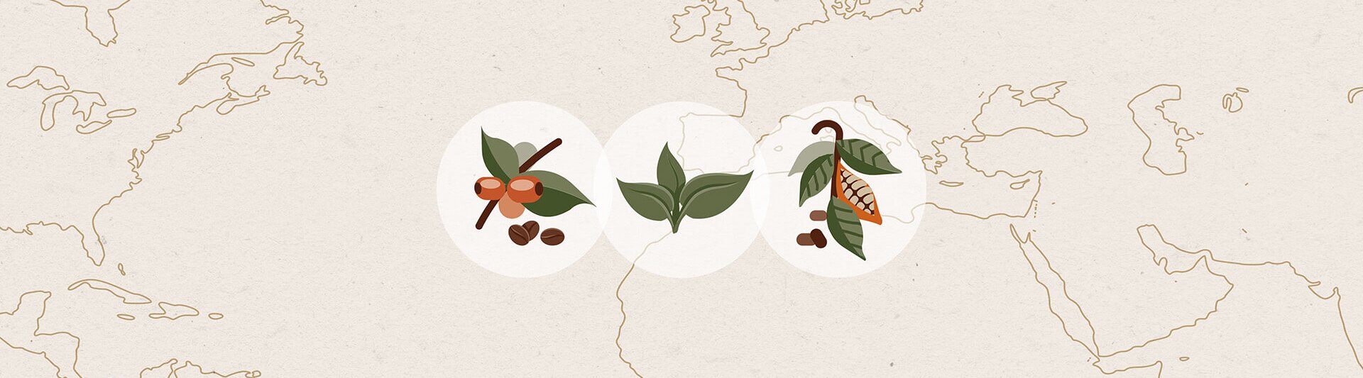 Illustratie van duurzaamheid, met koffie-, thee- en cacaoplanten op een getextureerde kaartachtergrond.