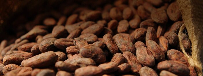 Close-up of raw cacao beans, highlighting their rich texture and natural colour, perfect for chocolate-making enthusiasts.