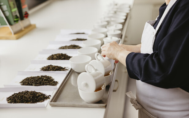 Tea tasting session with various tea leaves and white cups displayed on a table for evaluation and enjoyment.