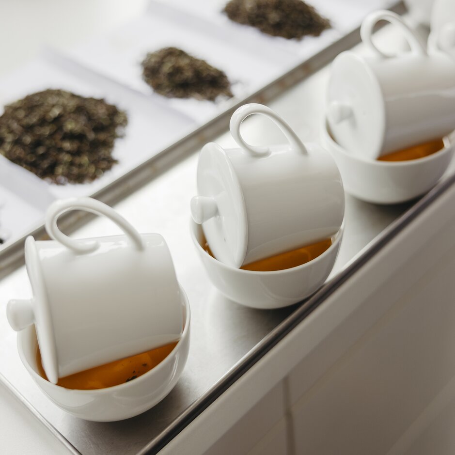 Cups of brewed tea are placed on a tray, alongside samples of loose-leaf tea for a tasting session.
