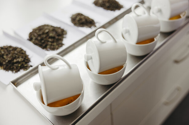 Cups of brewed tea are placed on a tray, alongside samples of loose-leaf tea for a tasting session.