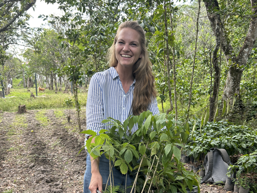 Een vrouw lacht terwijl ze een krat met jonge plantjes draagt in een weelderig bos, ter promotie van duurzame herbebossing.