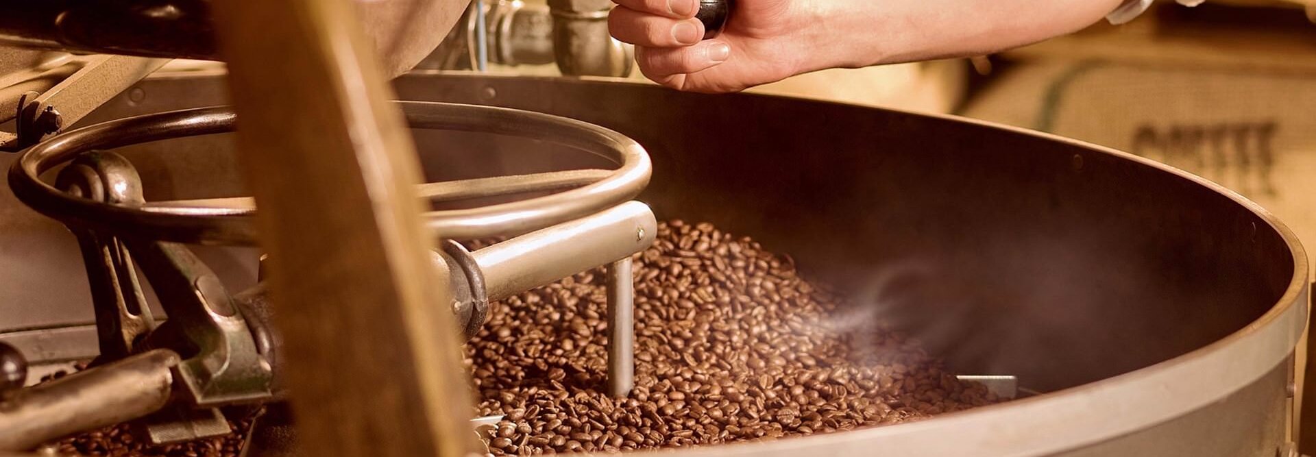 Ręka praży świeżo palone ziarna kawy w dużej prażalni.