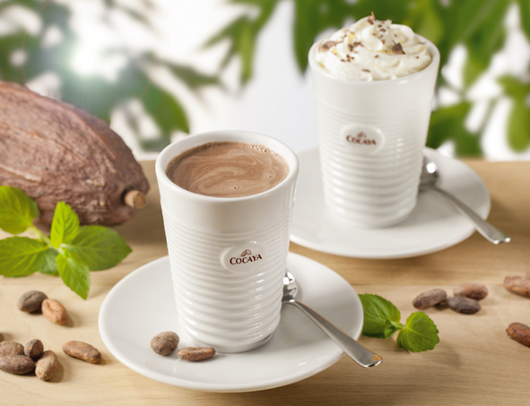 Dva šálky horké čokolády Cocaya, ozdobené šlehačkou a ořechy.