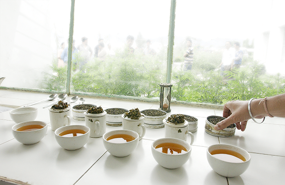 Osoba podává rozmanité druhy čaje.