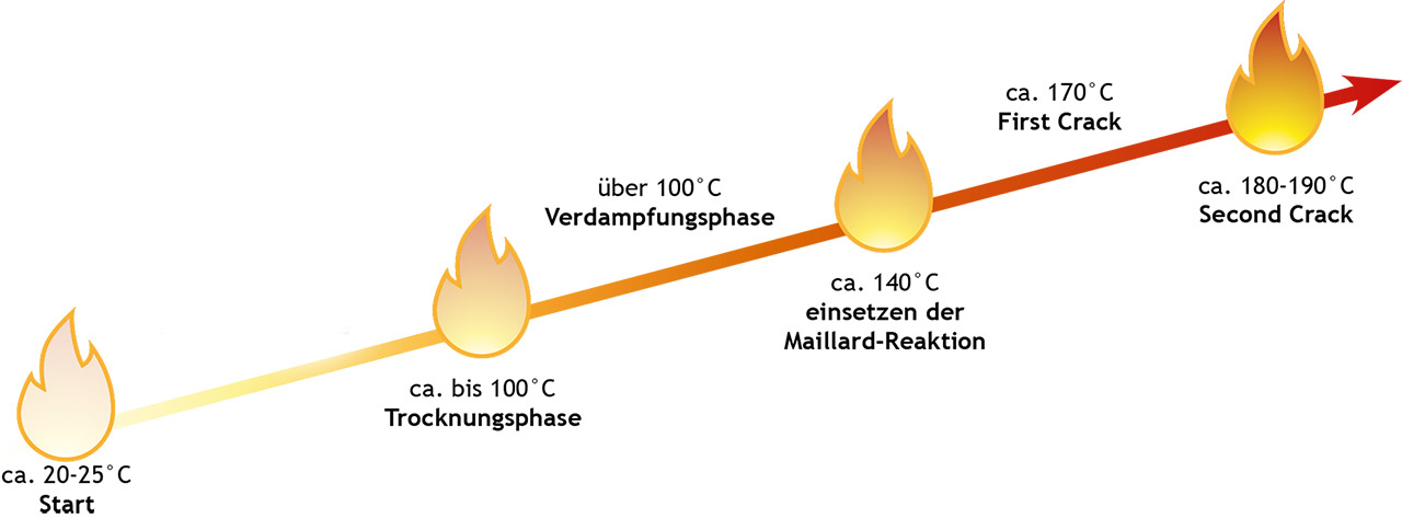 Temperaturverlauf bei der Röstung und die Maillard-Reaktion