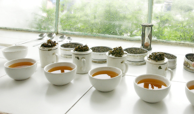 JJDarboven Professional Tee Vielfalt 